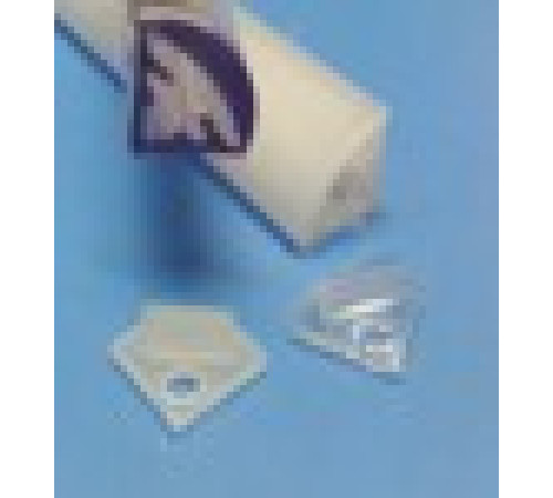 Заглушка торцевая для "Вектор №2" Прозрачный купить в Пинске  